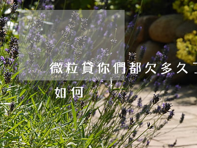 微粒貸你們都欠多久了(微粒貸欠款一個月會如何)
