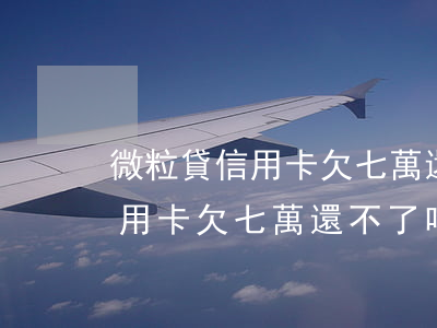 微粒貸信用卡欠七萬還不了咋辦-微粒貸信用卡欠七萬還不了咋辦呢