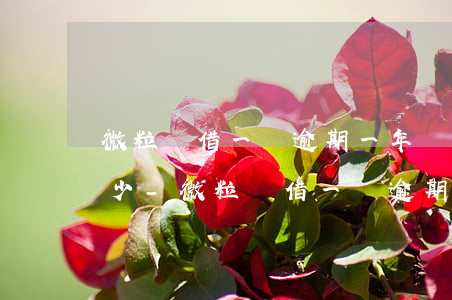微粒貸借一萬逾期一年應(yīng)還多少-微粒貸借一萬逾期一年應(yīng)還多少利息