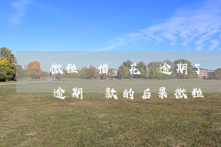 微粒貸借唄花唄逾期了會(huì)怎樣嗎，逾期還款的后果：微粒貸、借唄和花唄的逾期影響