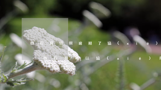 微粒貸借唄逾期了協(xié)商延期還款-微粒貸可以協(xié)商延長還款期限嗎