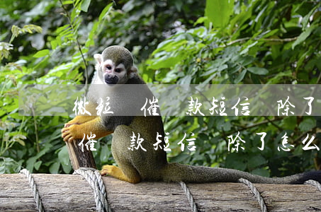 微粒貸催還款短信刪除了怎么還款-微粒貸催還款短信刪除了怎么還款呢