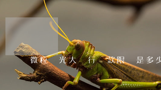 微粒貸光大銀行還款限額是多少-