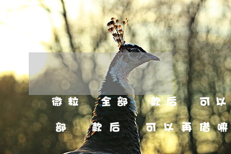 微粒貸全部還款后還可以再借嘛-微粒貸全部還款后還可以再借嘛安全嗎