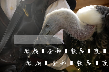 微粒貸全部還款后額度會恢復(fù)嗎-微粒貸全部還款后額度會恢復(fù)嗎安全嗎