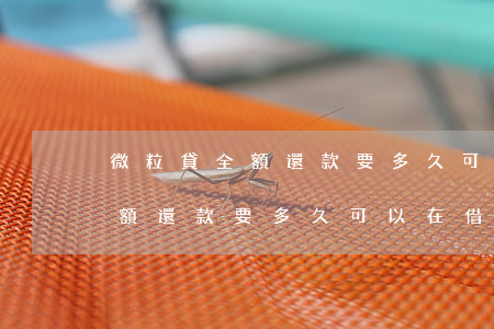 微粒貸全額還款要多久可以在借-微粒貸全額還款要多久可以在借錢