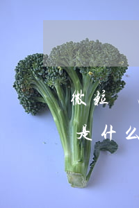 微粒貸凌晨還錢算逾期嗎(微粒貸還款日凌晨是什么時候)