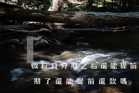 微粒貸分期之后還能提前還款嗎-微粒貸分期了還能提前還款嗎