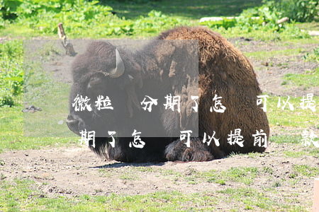 微粒貸分期了怎樣可以提前還款-微粒貸分期了怎樣可以提前還款