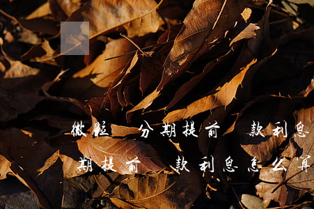 微粒貸分期提前還款利息怎么算-微粒貸分期提前還款利息怎么算出來(lái)的