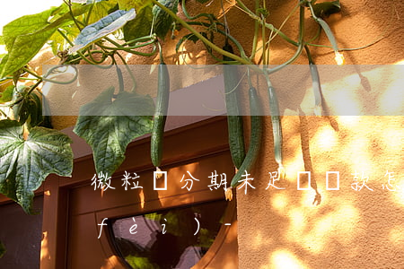 微粒貸分期未足額還款怎么計(jì)費(fèi)-