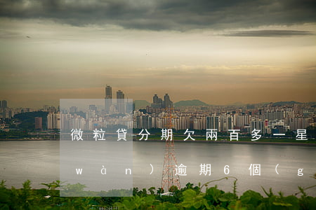 微粒貸分期欠兩百多一星期了(微粒貸2萬(wàn)逾期6個(gè)月)