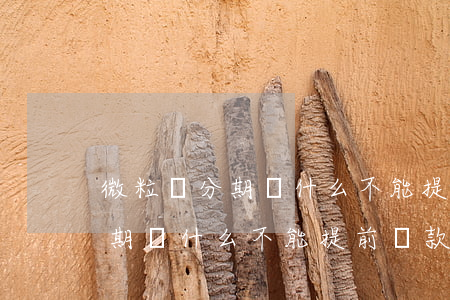 微粒貸分期為什么不能提前還款-微粒貸分期為什么不能提前還款呢