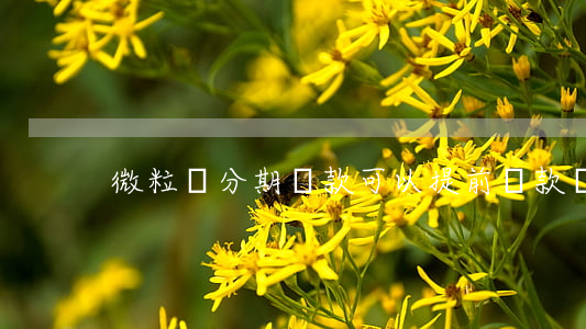 微粒貸分期貸款可以提前還款嗎-