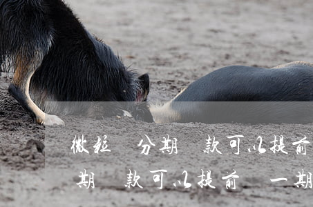 微粒貸分期還款可以提前還一期-微粒貸分期還款可以提前還一期嗎