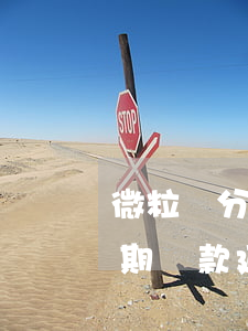 微粒貸分期還款延遲一天怎么辦-微粒貸分期還款延遲一天怎么辦理