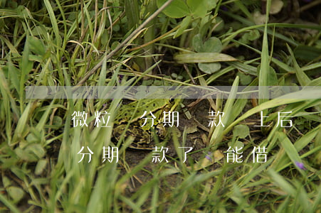 微粒貸分期還款還上后還可以借嗎-微粒貸分期還款了還能借嗎