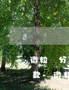 微粒貸分期還款點(diǎn)什么位置還款-微粒貸分期還款在哪里還