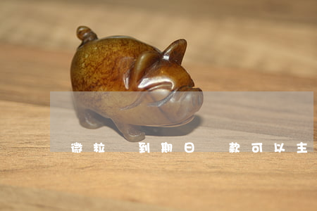 微粒貸到期日還款可以主動還嗎-