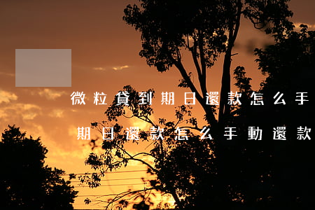 微粒貸到期日還款怎么手動還款-微粒貸到期日還款怎么手動還款啊
