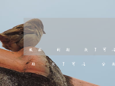 微粒貸到期還款了可以辦分期嗎-微粒貸到期還款了可以辦分期嗎