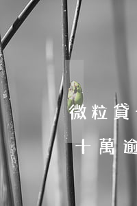 微粒貸十萬逾期三年了會被起訴嗎-微粒貸十萬逾期三年了會被起訴嗎知乎