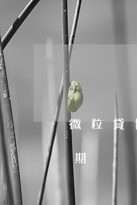 微粒貸協(xié)商還款最長可以分多少期