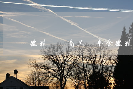 微粒貸協商只還本金（微粒貸協商只還本金）