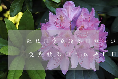微粒貸受疫情影響可以延遲還款嗎-微粒貸受疫情影響可以延遲還款嗎