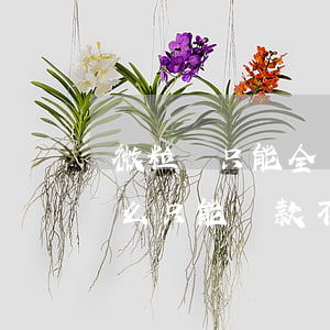 微粒貸只能全額不能部分還款了-微粒貸怎么只能還款不能借款了