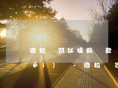 微粒貸可以提前還款減手續(xù)費(fèi)嗎-微粒貸可以提前還款減手續(xù)費(fèi)嗎是真的嗎