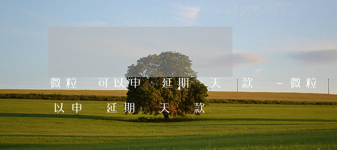 微粒貸可以申請延期幾天還款嗎-微粒貸可以申請延期幾天還款嗎