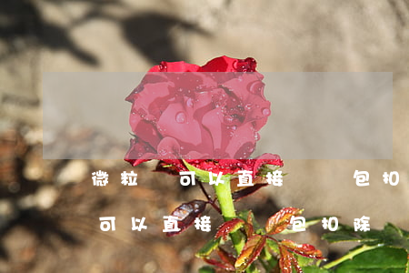 微粒貸可以直接從紅包扣除還款嗎-微粒貸可以直接從紅包扣除還款嗎安全嗎