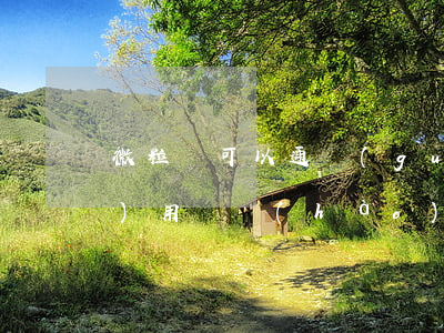 微粒貸可以通過(guò)專(zhuān)用賬號(hào)還款嗎-微粒貸可以通過(guò)專(zhuān)用賬號(hào)還款嗎安全嗎