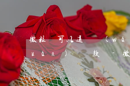 微粒貸可以通過網(wǎng)銀轉(zhuǎn)賬還款嗎-微粒貸可以通過網(wǎng)銀轉(zhuǎn)賬還款嗎安全嗎