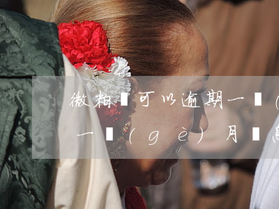 微粒貸可以逾期一個(gè)月(微粒貸逾期一個(gè)月罰息有多少)