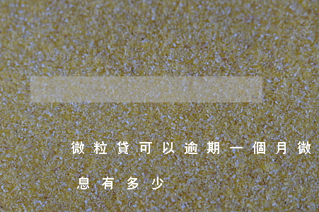 微粒貸可以逾期一個月(微粒貸逾期一個月罰息有多少)