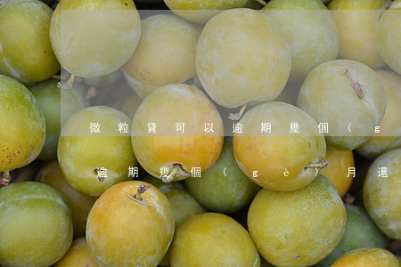 微粒貸可以逾期幾個(gè)月(微粒貸可以逾期幾個(gè)月還款嗎)