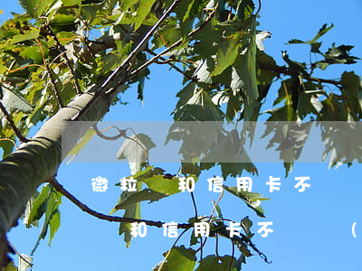 微粒貸和信用卡不還會(huì)怎樣(微粒貸和信用卡不還會(huì)怎樣)