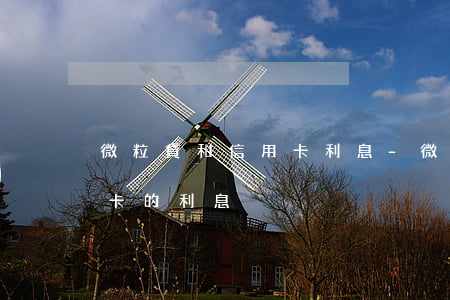 微粒貸和信用卡利息-微粒貸的利息和信用卡的利息
