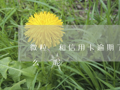 微粒貸和信用卡逾期了怎么辦 微粒貸逾期怎么辦呢