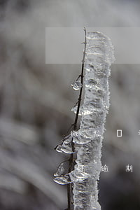 微粒貸和支付寶借款沒(méi)逾期(支付寶逾期會(huì)不會(huì)影響微粒貸)