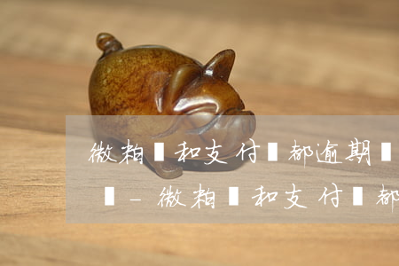 微粒貸和支付寶都逾期對(duì)生活影響-微粒貸和支付寶都逾期對(duì)生活影響大嗎