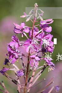 微粒貸嚴(yán)重逾期怎么知道住址的-微粒貸嚴(yán)重逾期怎么知道住址的電話