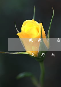 微粒貸在逾期多久會(huì)起訴(微粒貸逾期起訴法院審核要多久)