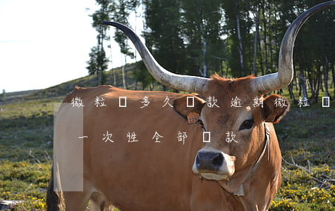 微粒貸多久還款逾期(微粒貸逾期多久會要求一次性全部還款)