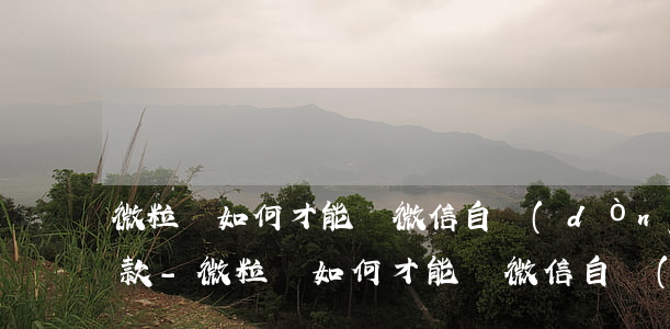 微粒貸如何才能從微信自動(dòng)還款-微粒貸如何才能從微信自動(dòng)還款呢