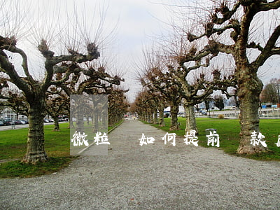微粒貸如何提前還款后面利息呢-