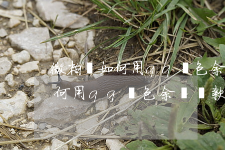 微粒貸如何用qq錢包余額還款-微粒貸如何用qq錢包余額還款呢