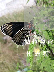 微粒貸官網(wǎng)還款(微粒貸還款操作流程)